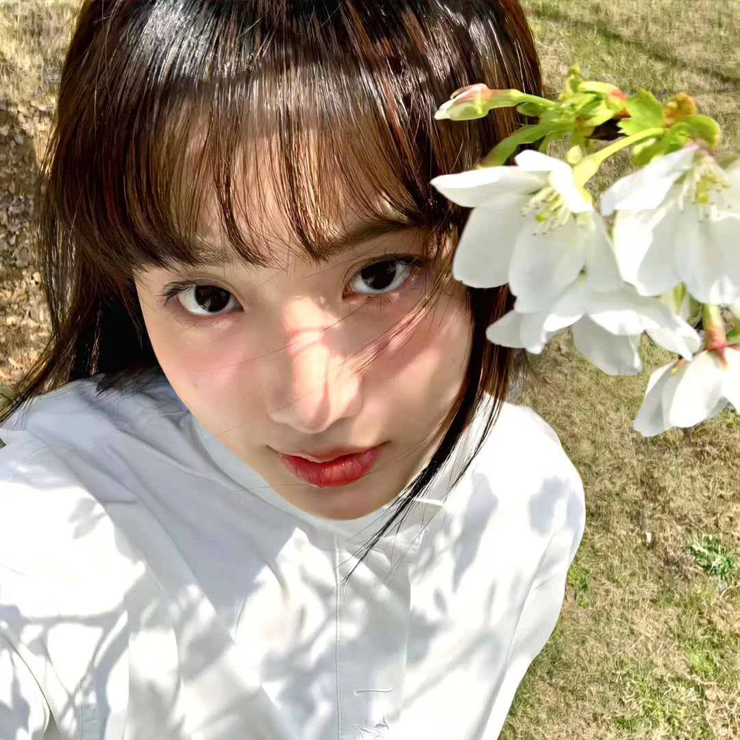 高速路上一只猫